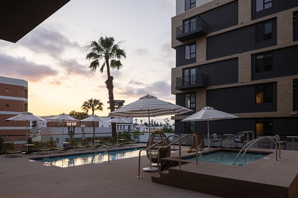 A pool area with a palm tree and umbrellas.