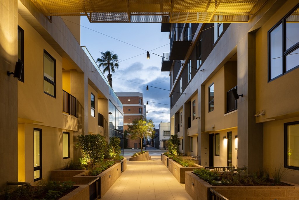 A long, narrow walkway between two buildings with plants on either side.