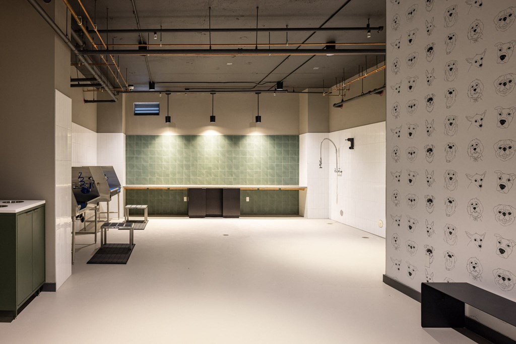 Vespr - Dog Washing Station