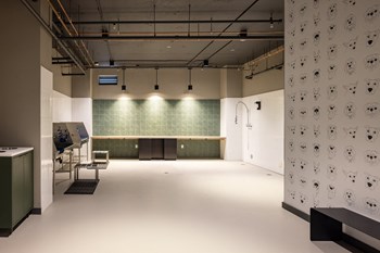 Vespr - Dog Washing Station - Photo Gallery 6