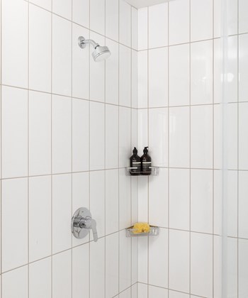 312 24th St. Studio-3 Beds Apartment for Rent - Photo Gallery 47
