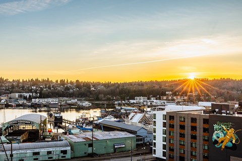 View - The Ballard Independent