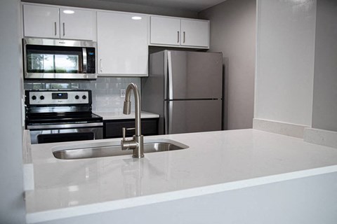 1 Bedroom Kitchen - Coen & Columbia
