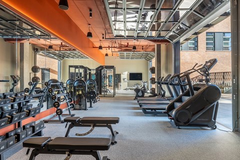A gym with treadmills, weights, and exercise equipment.