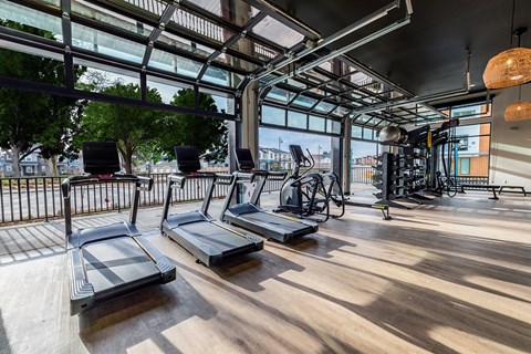 A gym with treadmills, elliptical machines, and a bicycle.