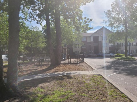 a city street with trees and a building
