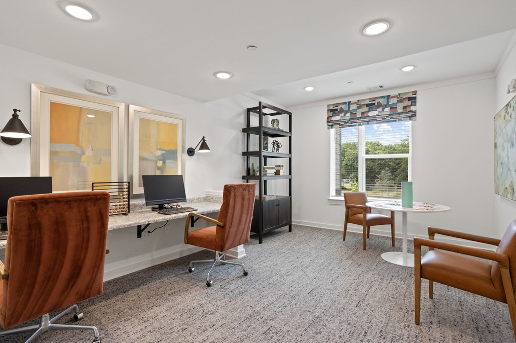 Ovata at Reedy Creek Senior Apartments in Charlotte NC Business Center with computers for residents