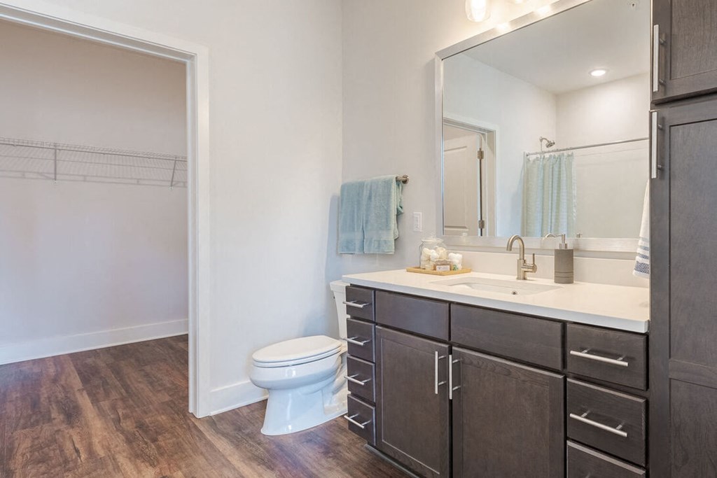 a bathroom with a sink and a toilet and a mirror