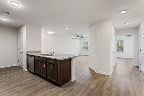 A kitchen with a counter and cabinets.