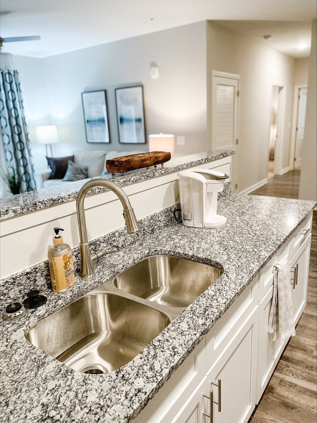 A detailed look at Peachtree Village’s granite countertops and stainless-steel appliances.