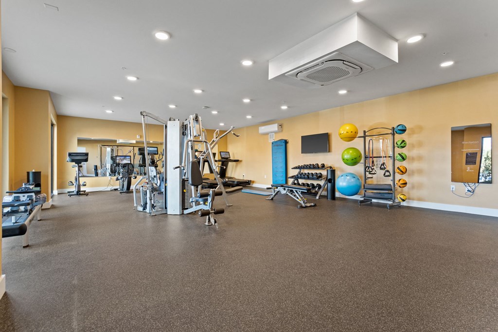 Fitness Center in Park View Greer Apartments in Greer, SC with free weights, a treadmill, medicine balls and bands