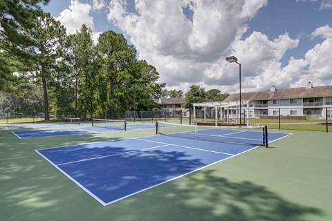Dog-Friendly Apartments in Savannah GA - George - Blue and Green Tennis Courts, with Nearby Trees and Lawns