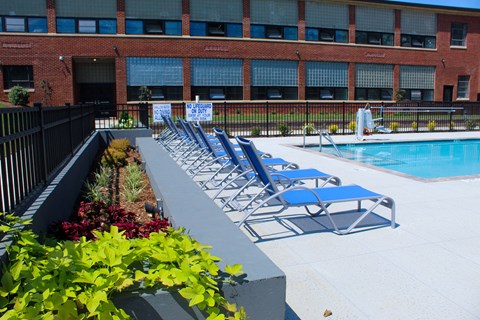 Pool Deck