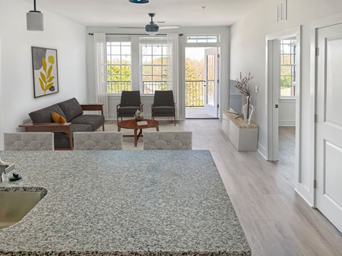 A living room with a grey sofa and a grey rug.