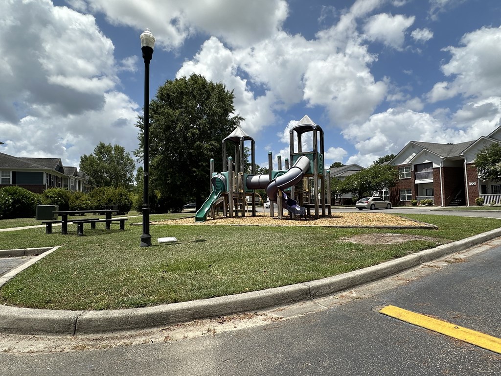 a playground in a park on a cloudy day