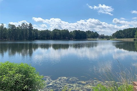 A serene lake surrounded by lush greenery under a clear sky.