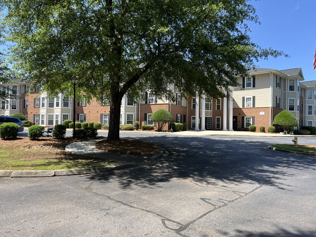 A tree in front of apartment buildings.