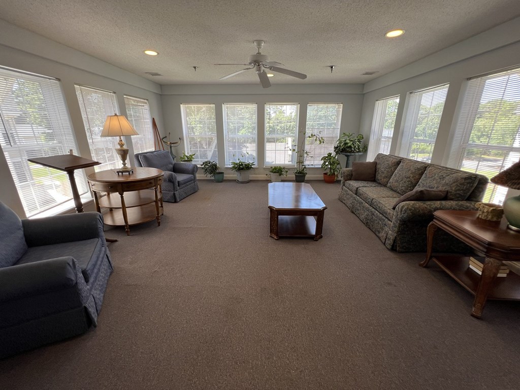 A living room with a grey carpet and furniture.