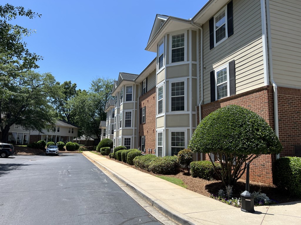 A tree in front of a building with a white car parked on the street.