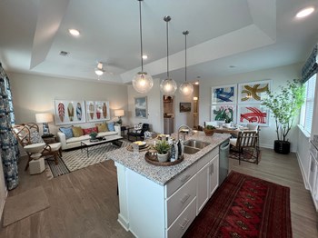 Model Kitchen - Photo Gallery 6