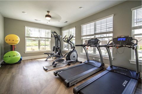 A gym with treadmills, elliptical machines, and a ball.