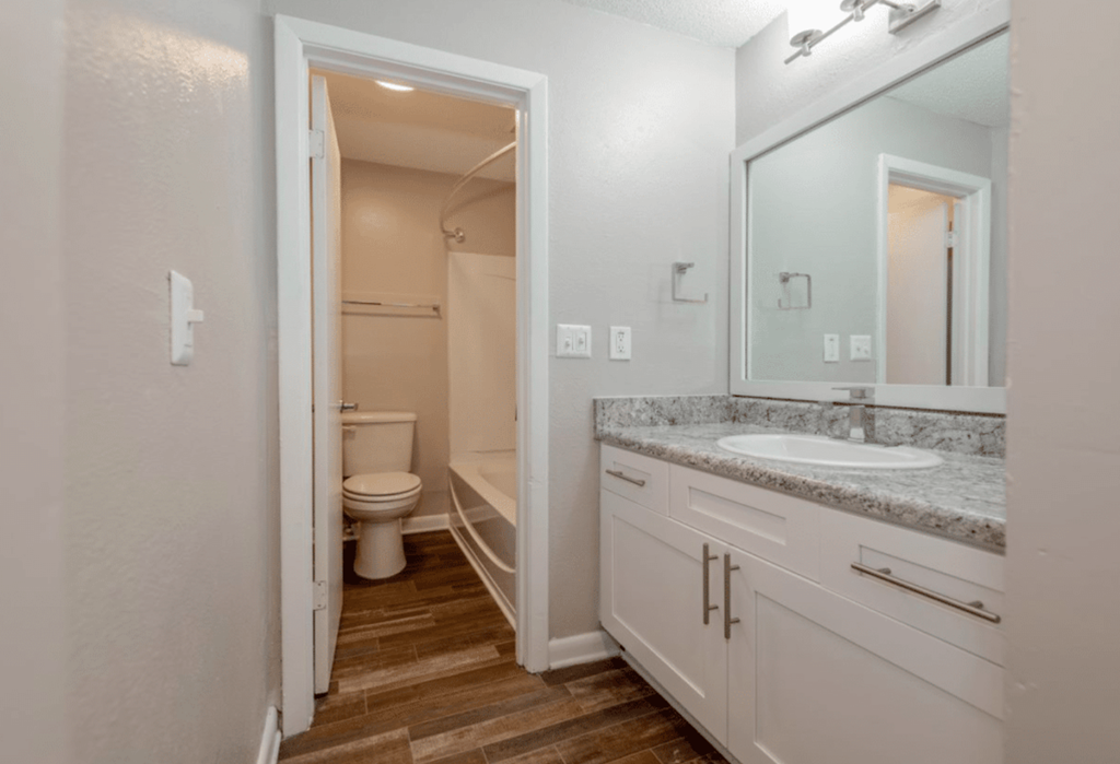 A bathroom with a toilet, sink, and mirror.