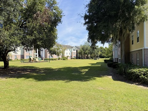 A sunny day at a park with a playground and trees.