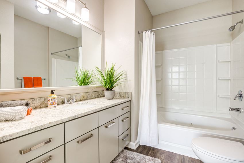 Renovated Model Unit Apartments For Rent in Greenville, SC