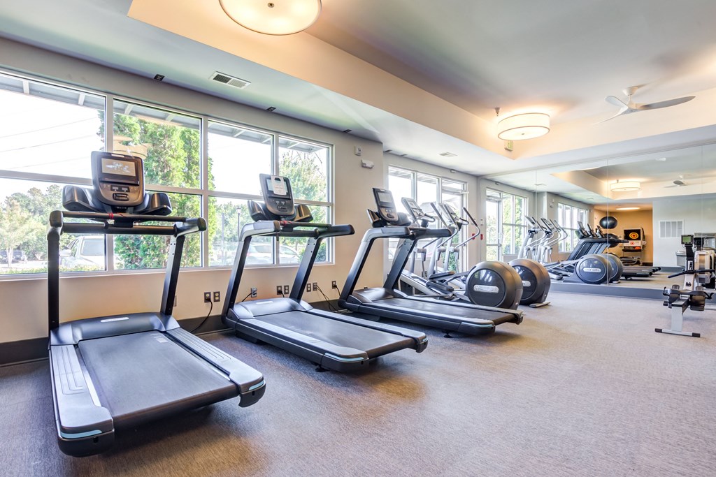 Pet-Friendly Apartments in Greenville, SC