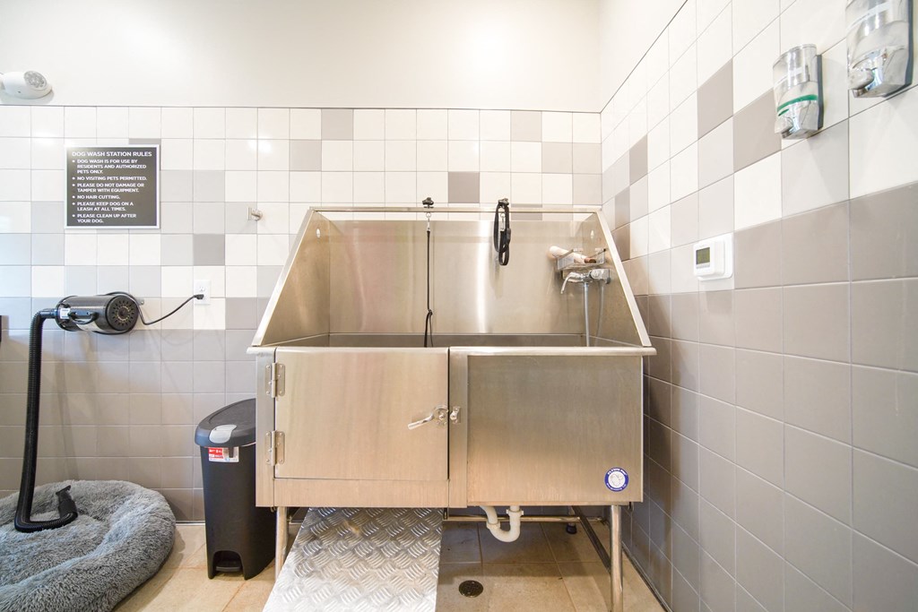 Pet-Friendly Apartments