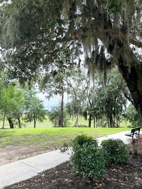 Walking Path
