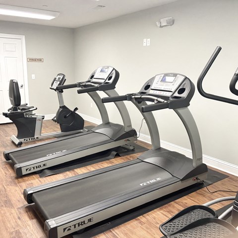 A gym with treadmills and elliptical machines.
