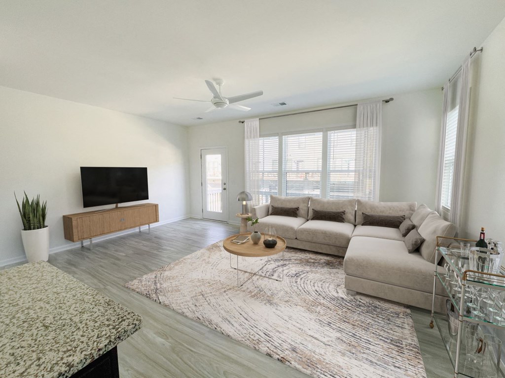 A living room with a television, sofa, and rug.