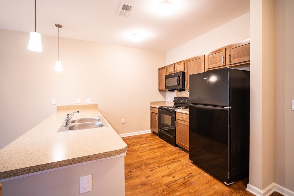 A kitchen with a black refrigerator, sink, and cabinets.