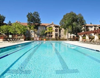 Swimming Pool - Photo Gallery 2