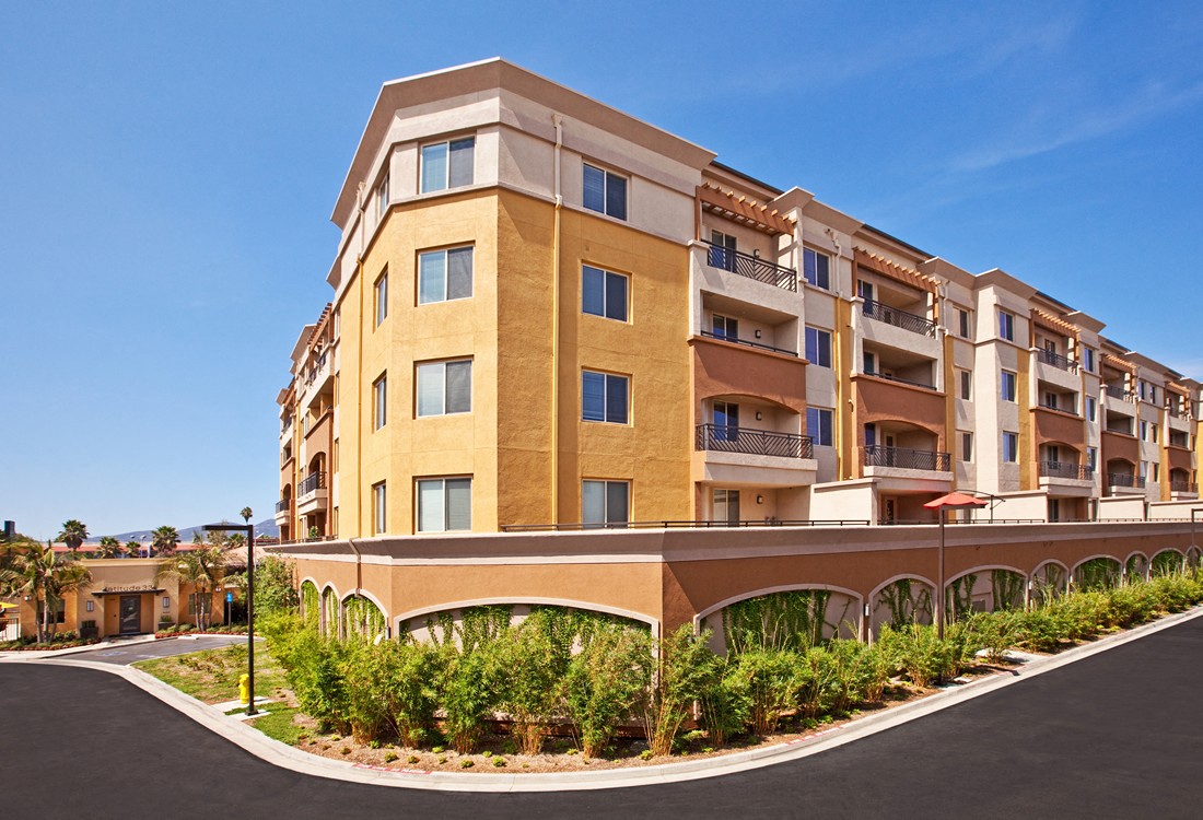 Photos and Video of Latitude33 in Escondido, CA