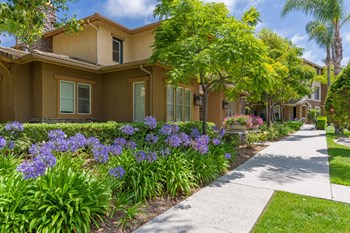 Lush Green Outdoors Lush Green Outdoors at Terra Vista, Chula Vista - Photo Gallery 6