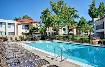 swimming pool - Photo Gallery 3