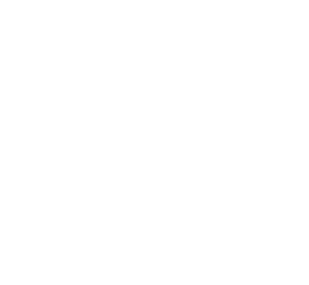 36N logo