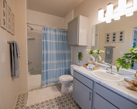 A bathroom with a blue shower curtain and a white toilet.