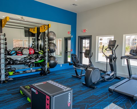 A gym with a blue wall and a variety of exercise equipment.