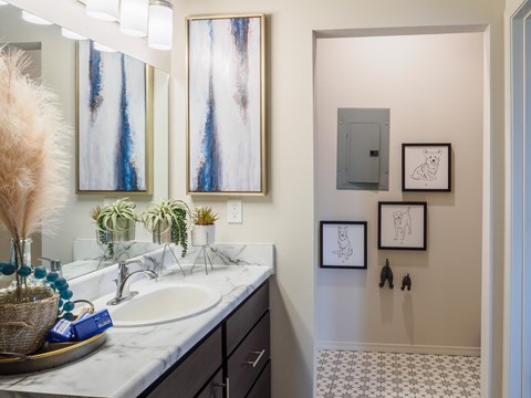 A bathroom with a white sink and a mirror above it.
