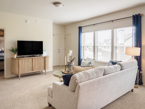 A living room with a grey sofa, a wooden cabinet, a television, and a glass table with a vase of flowers on it.