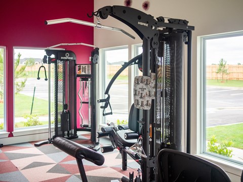 A gym with a red wall and a black and silver exercise machine.