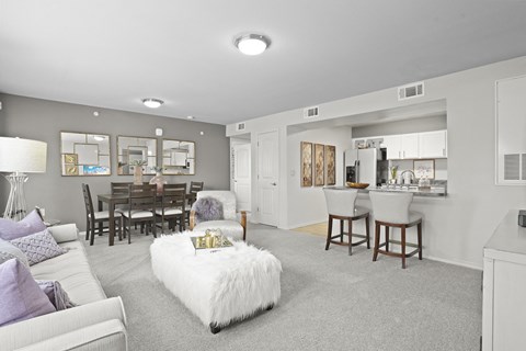 A living room with a white couch and a grey rug.
