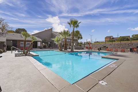 A large swimming pool surrounded by palm trees and lounge chairs.