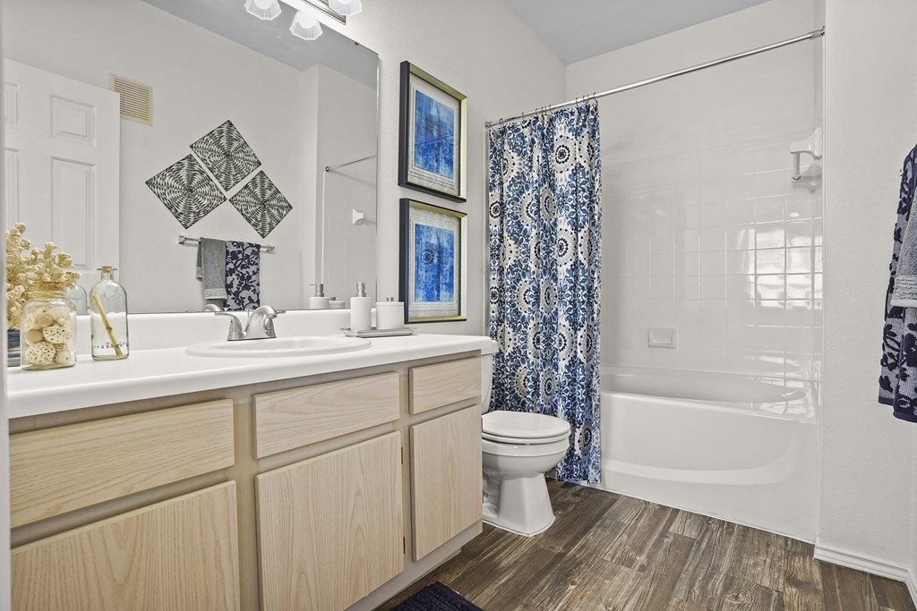A bathroom with a white sink, a toilet, a shower, and a mirror.
