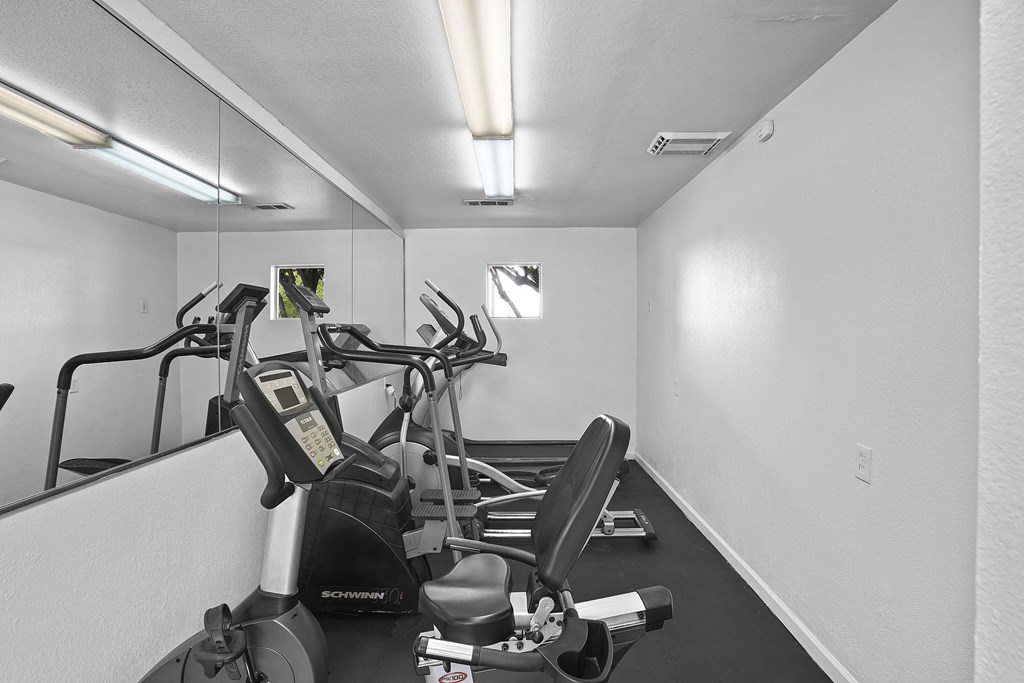 A room with a row of stationary bikes.