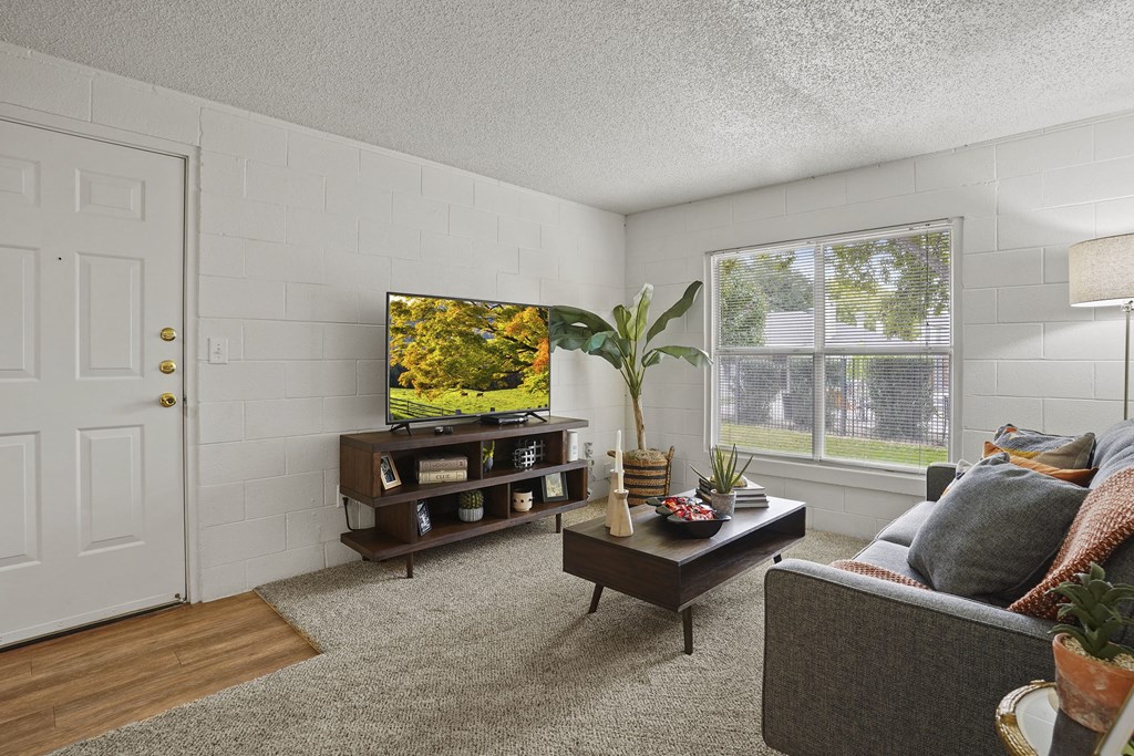 A living room with a grey couch, a wooden coffee table, a flat screen TV, and a plant.