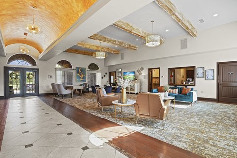 A large, open-concept living room with a mix of modern and traditional decor.